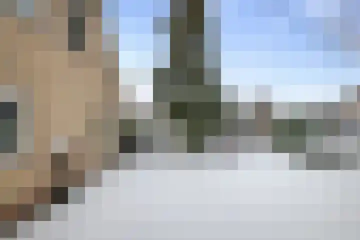Liendense Singel 20 Lienden thumbnail 26
