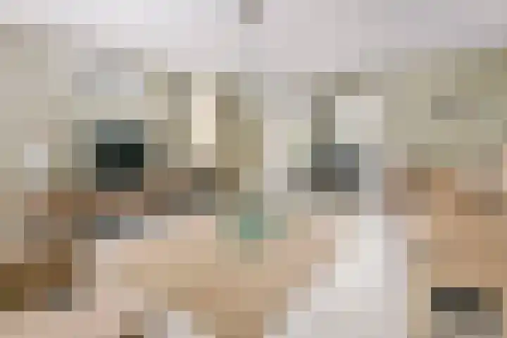 Liendense Singel 20 Lienden thumbnail 4