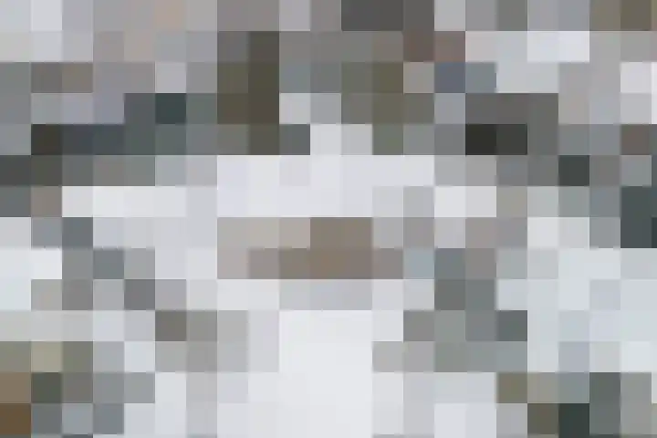 Liendense Singel 20 Lienden thumbnail 45