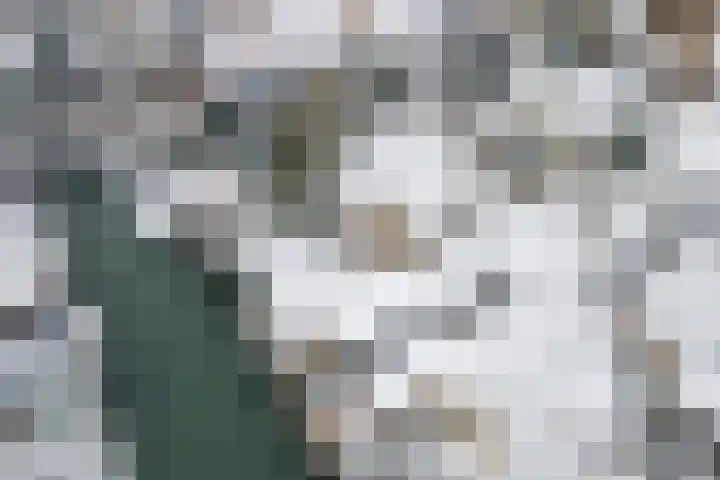 Liendense Singel 20 Lienden thumbnail 46
