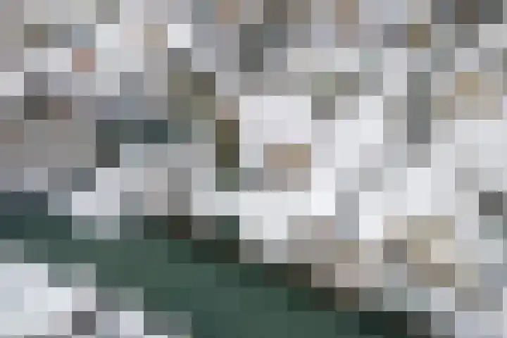 Liendense Singel 20 Lienden thumbnail 47