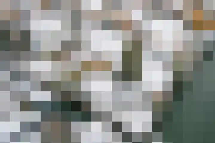 Liendense Singel 20 Lienden thumbnail 48