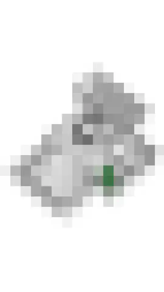 Liendense Singel 20 Lienden thumbnail 50