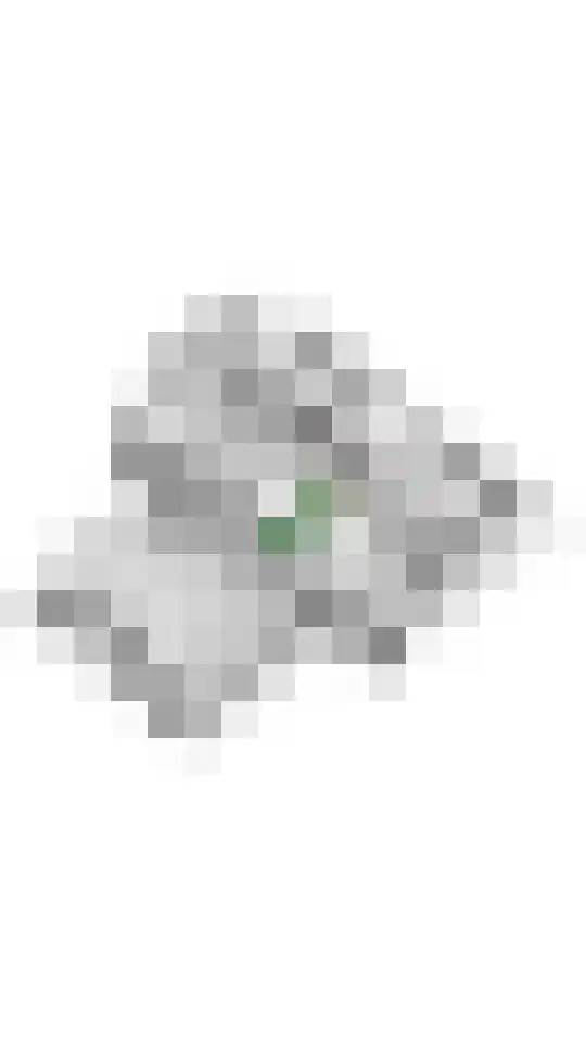 Liendense Singel 20 Lienden thumbnail 52