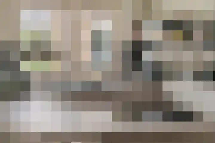 Liendense Singel 20 Lienden thumbnail 6