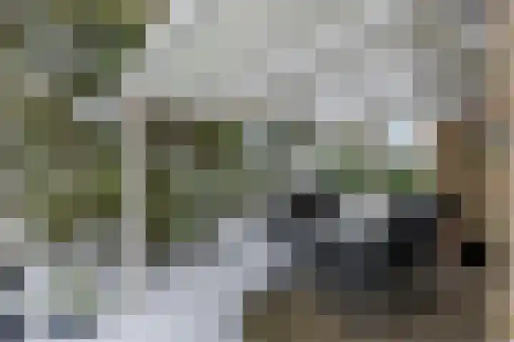 Liendense Singel 20 Lienden thumbnail 7
