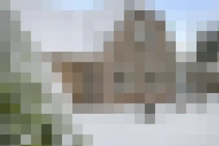 Liendense Singel 20 Lienden thumbnail 9