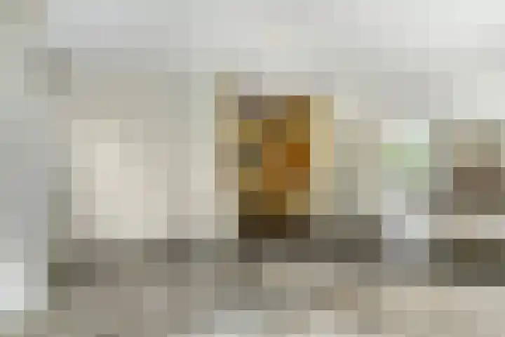 Liendense Singel 22 Lienden thumbnail 13