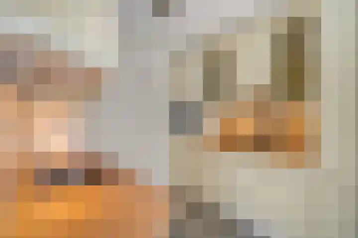 Liendense Singel 22 Lienden thumbnail 15