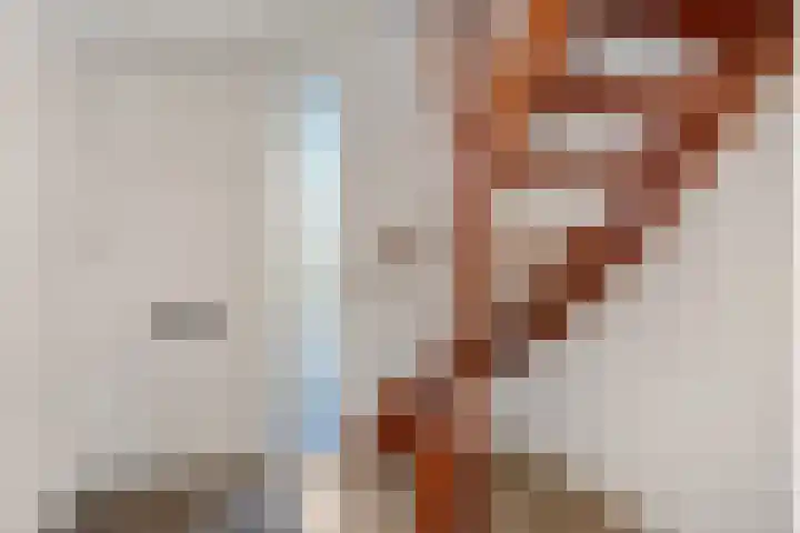 Liendense Singel 22 Lienden thumbnail 19