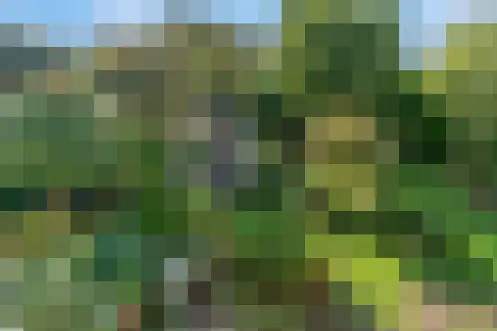 Liendense Singel 22 Lienden thumbnail 24
