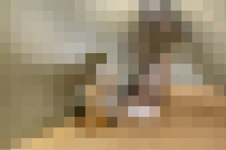 Liendense Singel 22 Lienden thumbnail 29