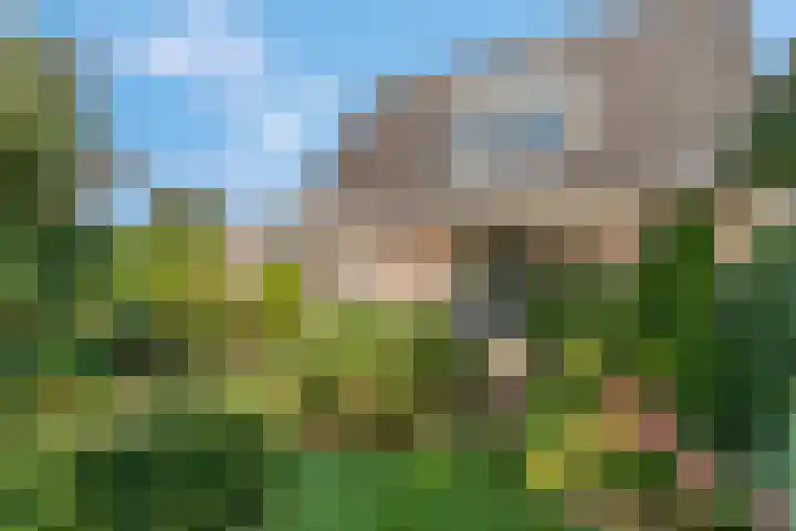 Liendense Singel 22 Lienden thumbnail 31