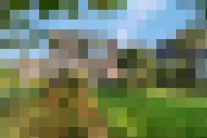 Liendense Singel 22 Lienden thumbnail 32