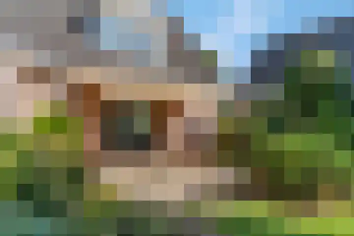 Liendense Singel 22 Lienden thumbnail 33