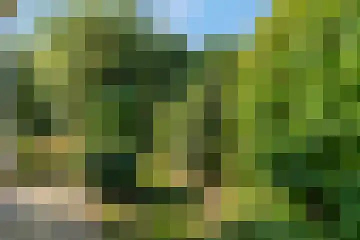 Liendense Singel 22 Lienden thumbnail 34