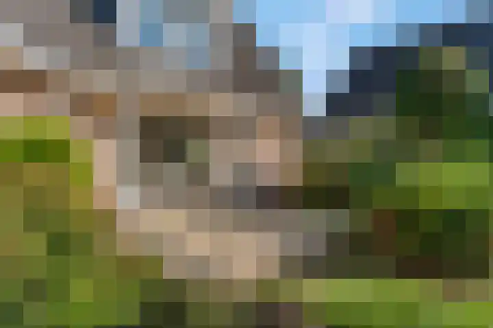 Liendense Singel 22 Lienden thumbnail 35