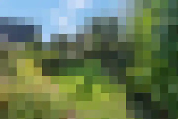 Liendense Singel 22 Lienden thumbnail 36
