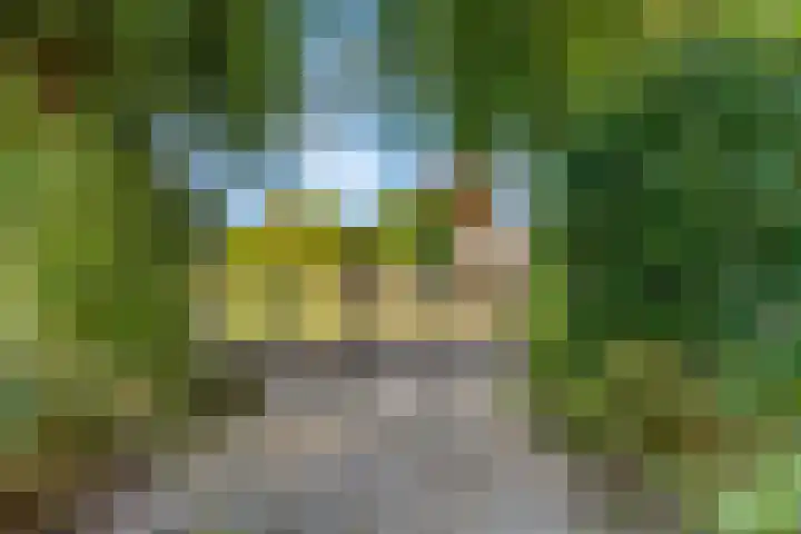 Liendense Singel 22 Lienden thumbnail 37