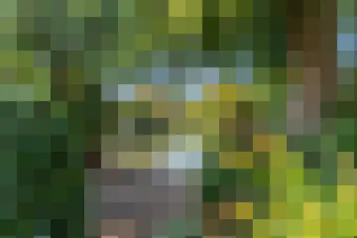 Liendense Singel 22 Lienden thumbnail 38