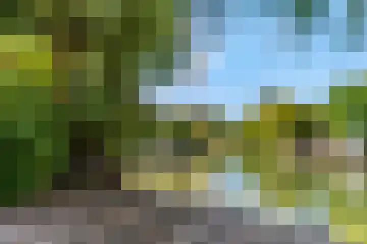 Liendense Singel 22 Lienden thumbnail 39