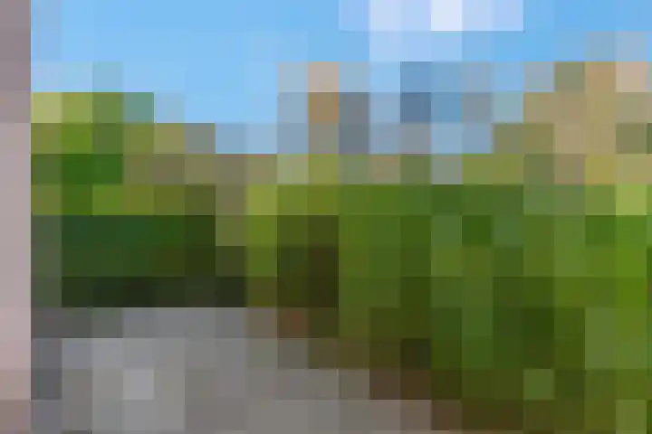 Liendense Singel 22 Lienden thumbnail 41
