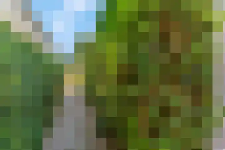 Liendense Singel 22 Lienden thumbnail 42