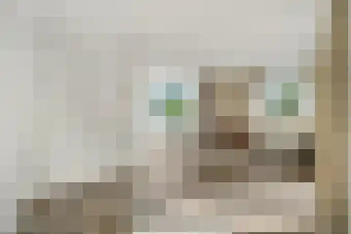 Liendense Singel 22 Lienden thumbnail 6