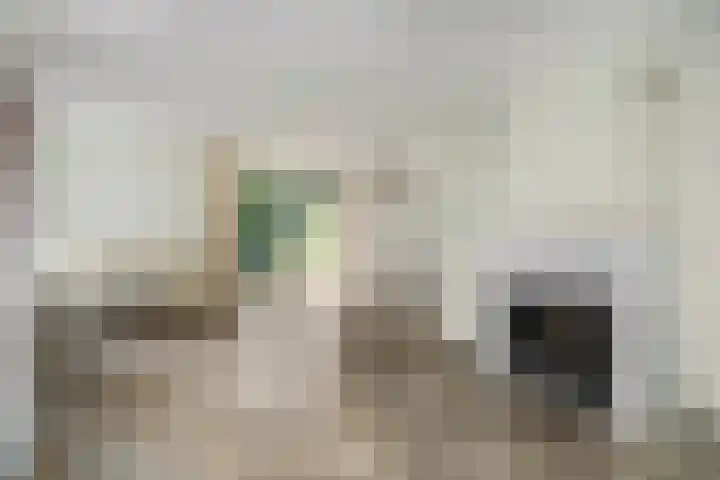 Liendense Singel 22 Lienden thumbnail 8