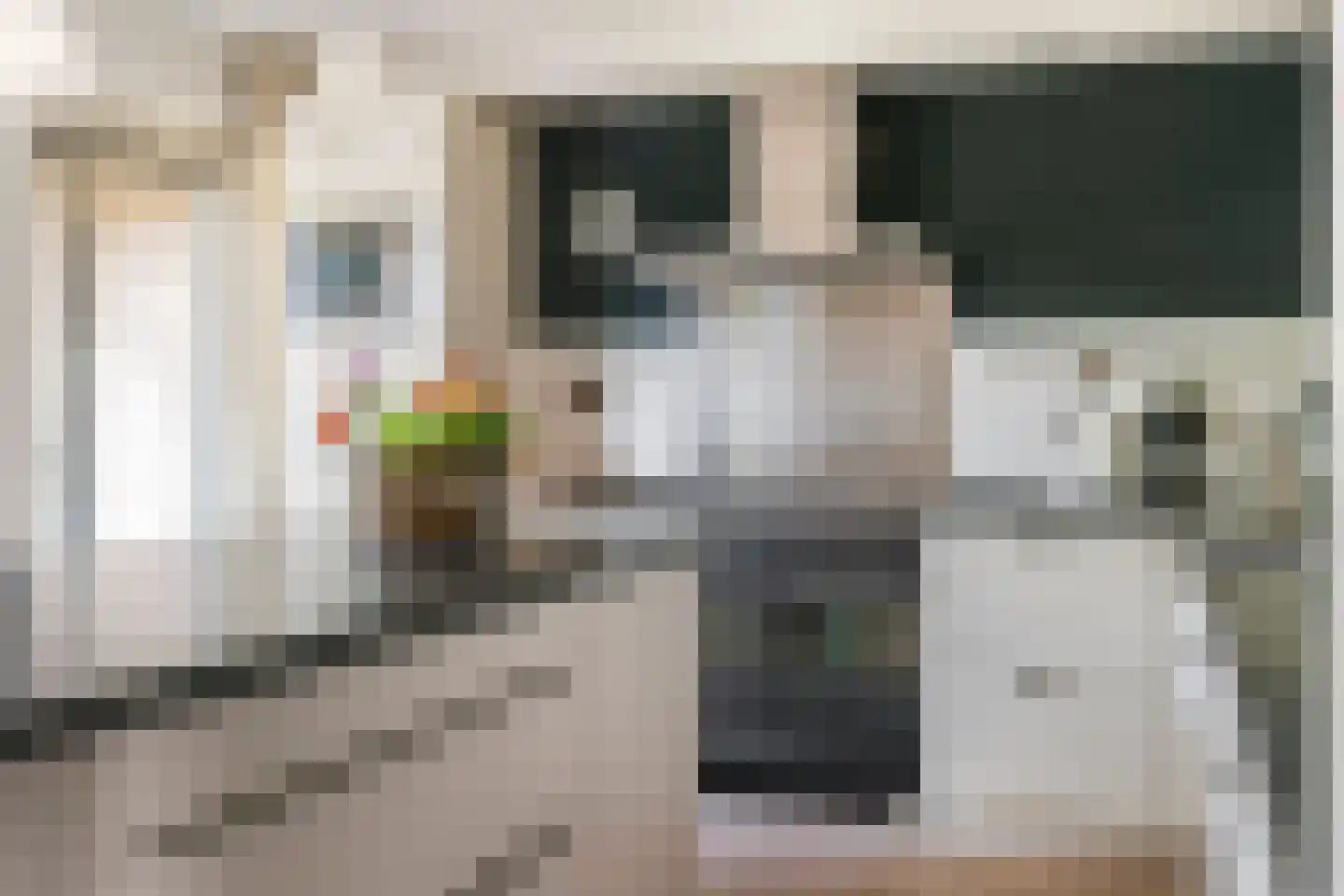 Liendense Singel 38 Lienden thumbnail 12