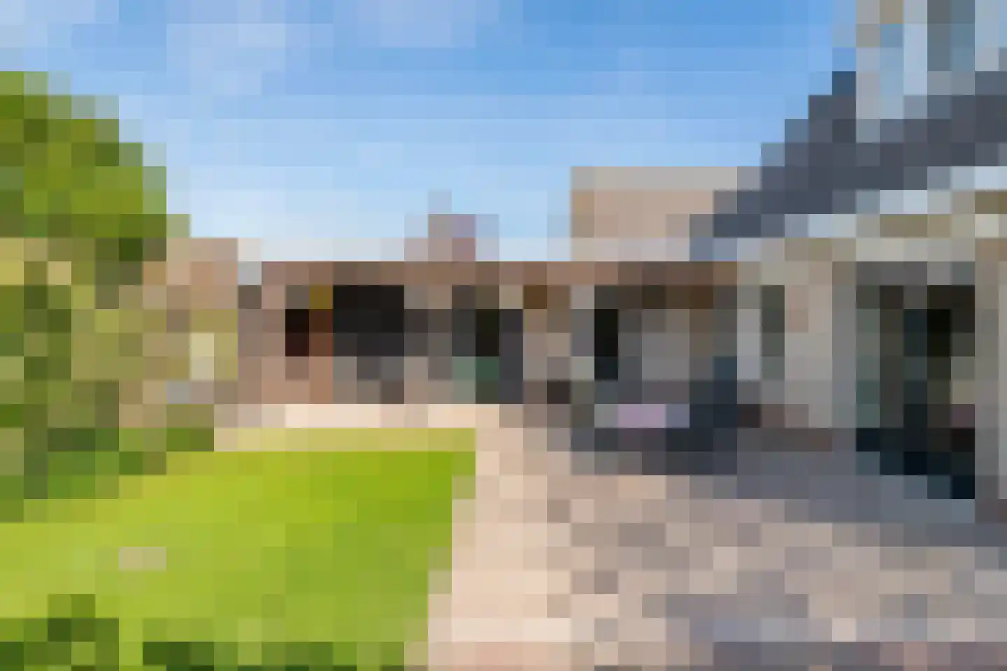 Liendense Singel 38 Lienden thumbnail 20
