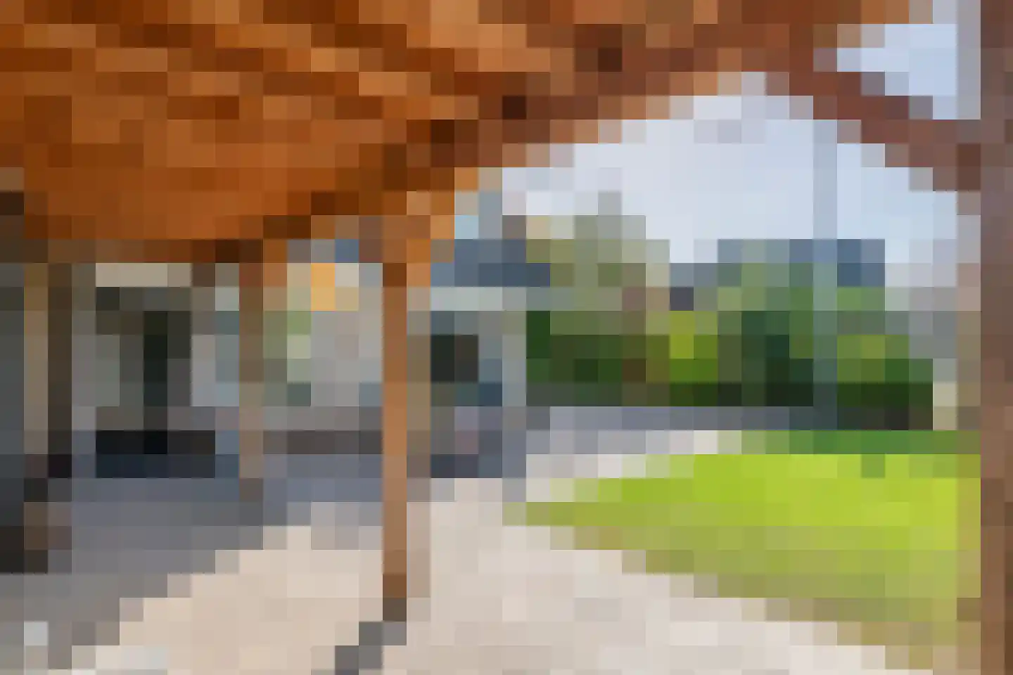 Liendense Singel 38 Lienden thumbnail 22