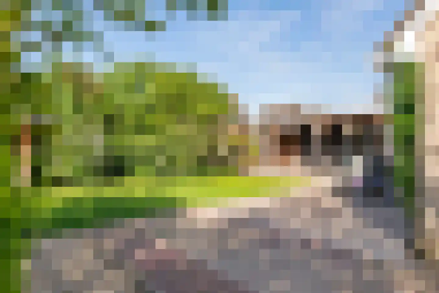 Liendense Singel 38 Lienden thumbnail 24