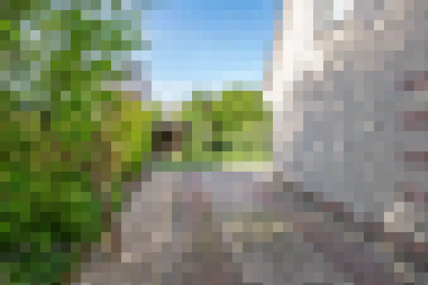 Liendense Singel 38 Lienden thumbnail 25