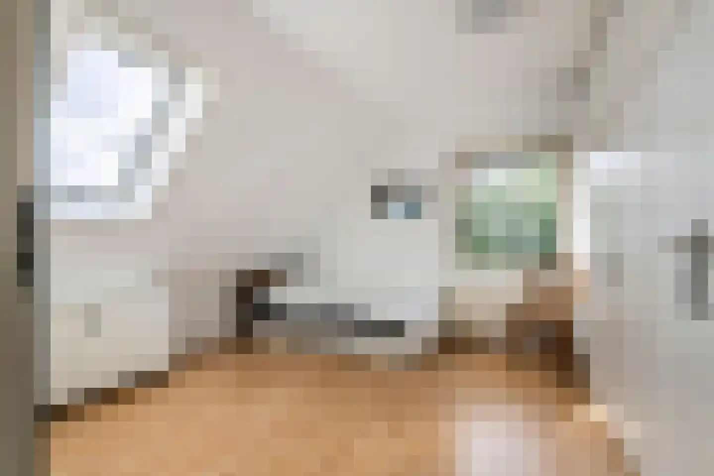 Liendense Singel 38 Lienden thumbnail 36