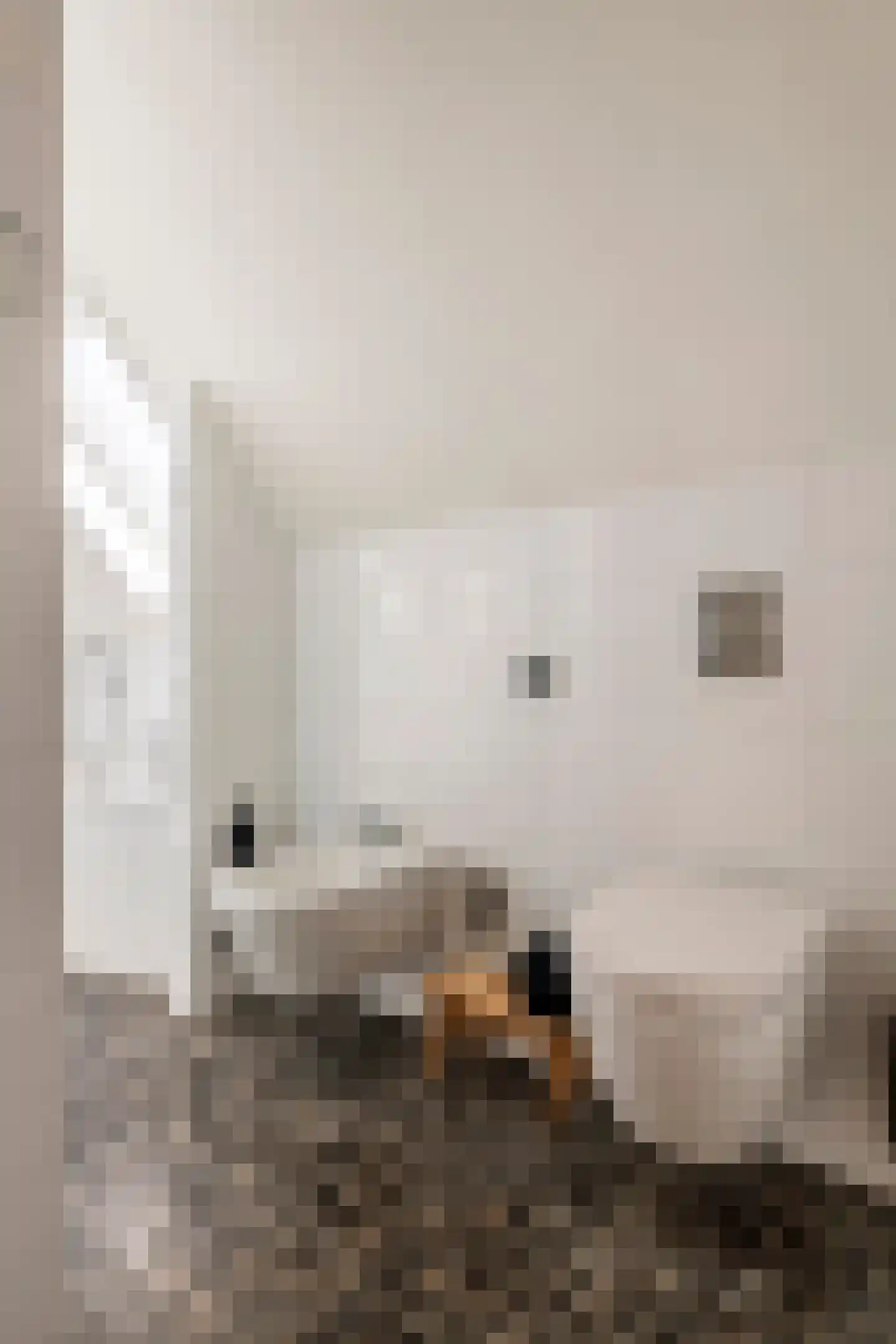 Liendense Singel 38 Lienden thumbnail 38