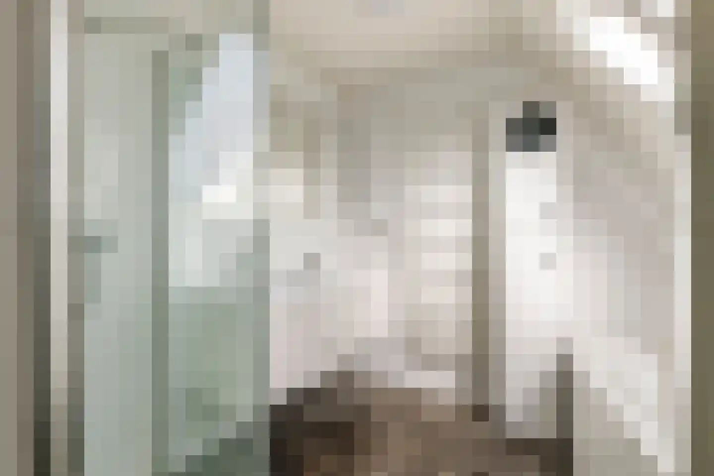 Liendense Singel 38 Lienden thumbnail 39