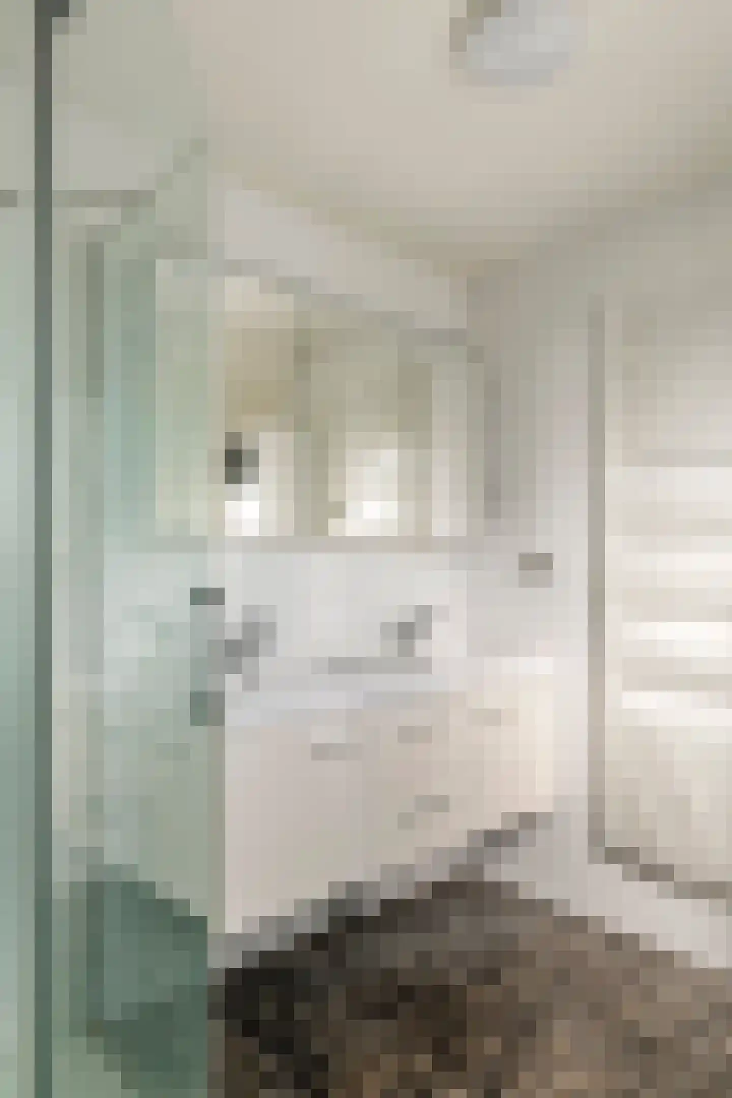 Liendense Singel 38 Lienden thumbnail 42