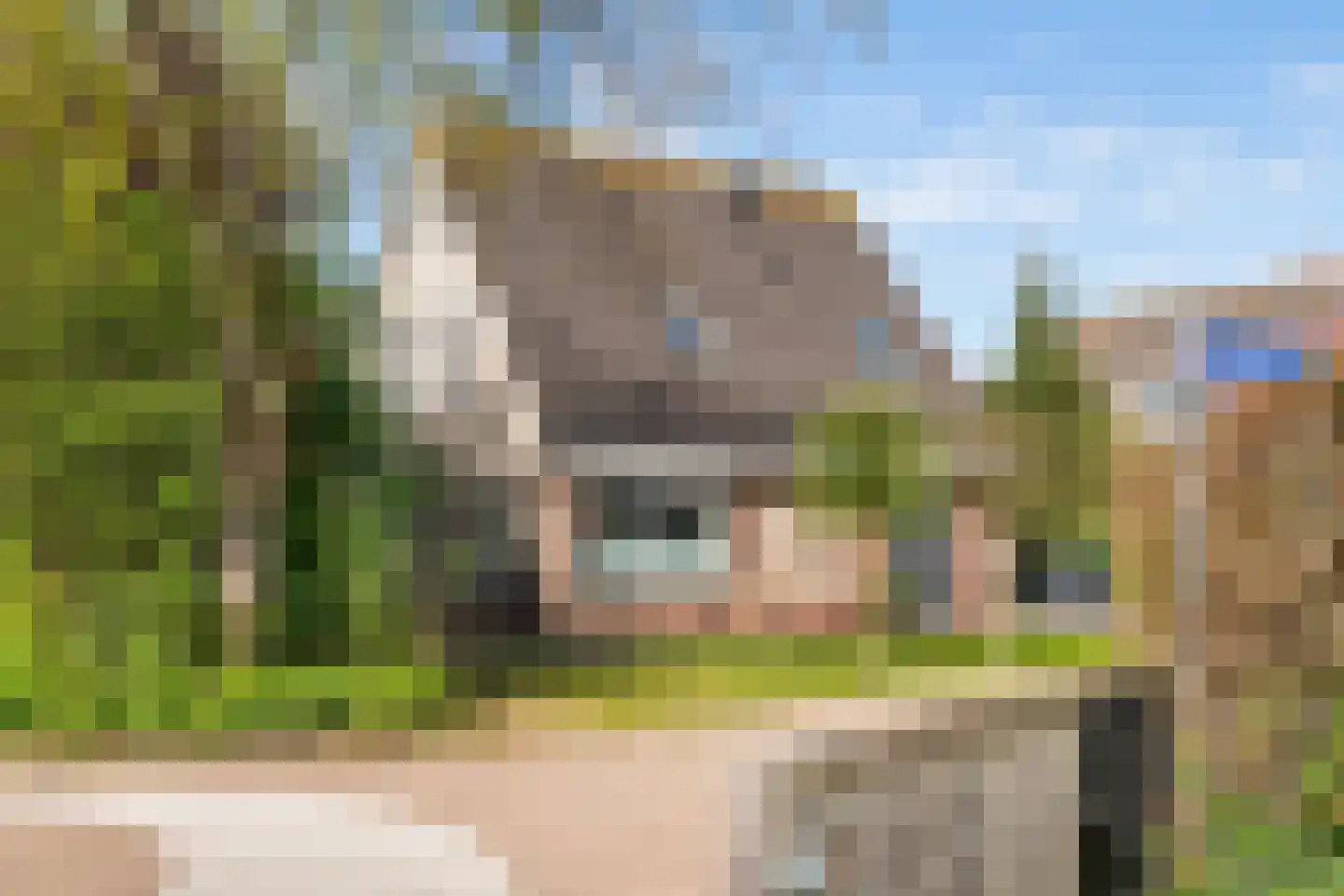 Liendense Singel 38 Lienden thumbnail 47