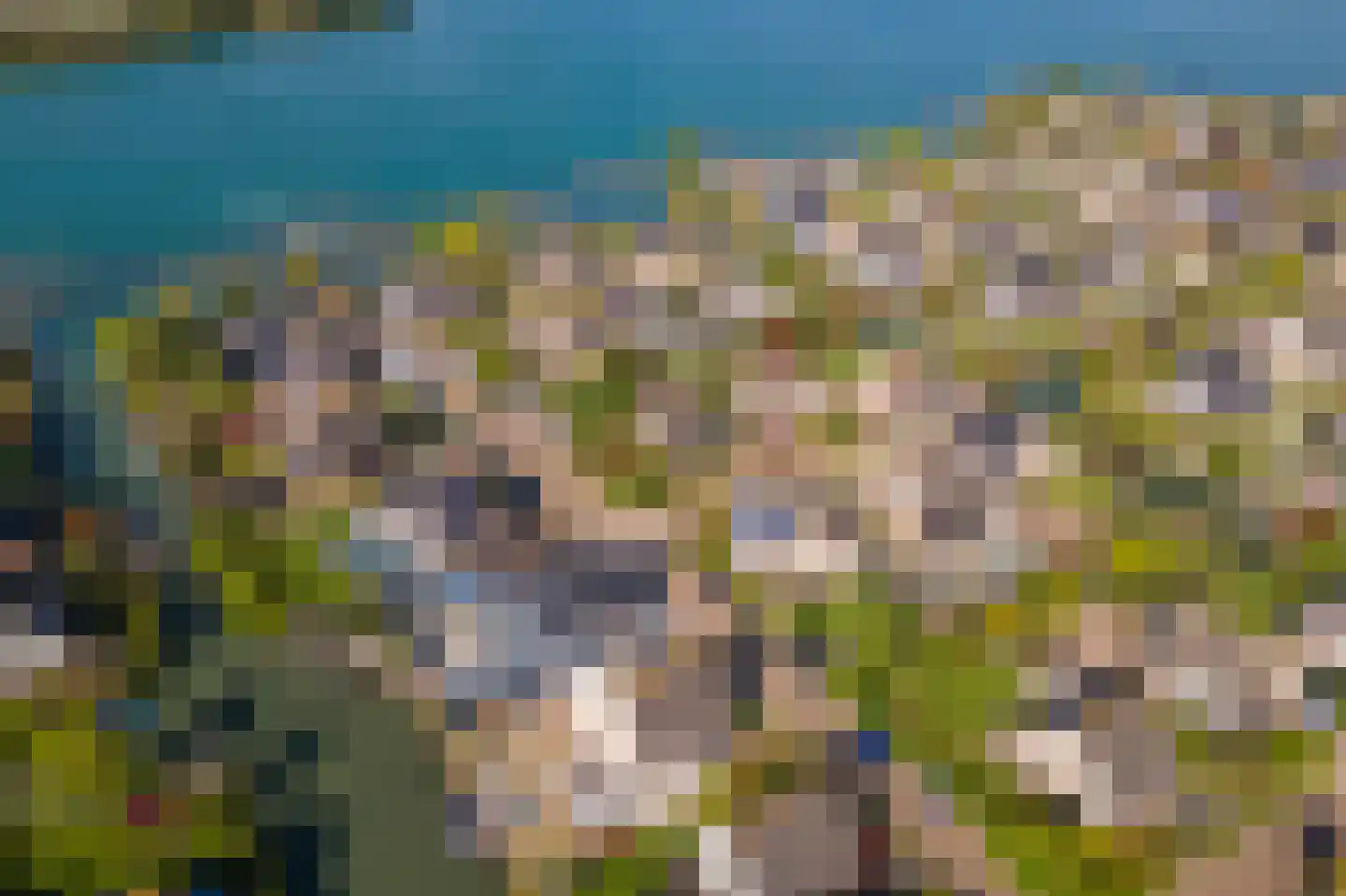 Liendense Singel 38 Lienden thumbnail 49