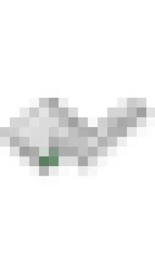 Liendense Singel 38 Lienden thumbnail 59
