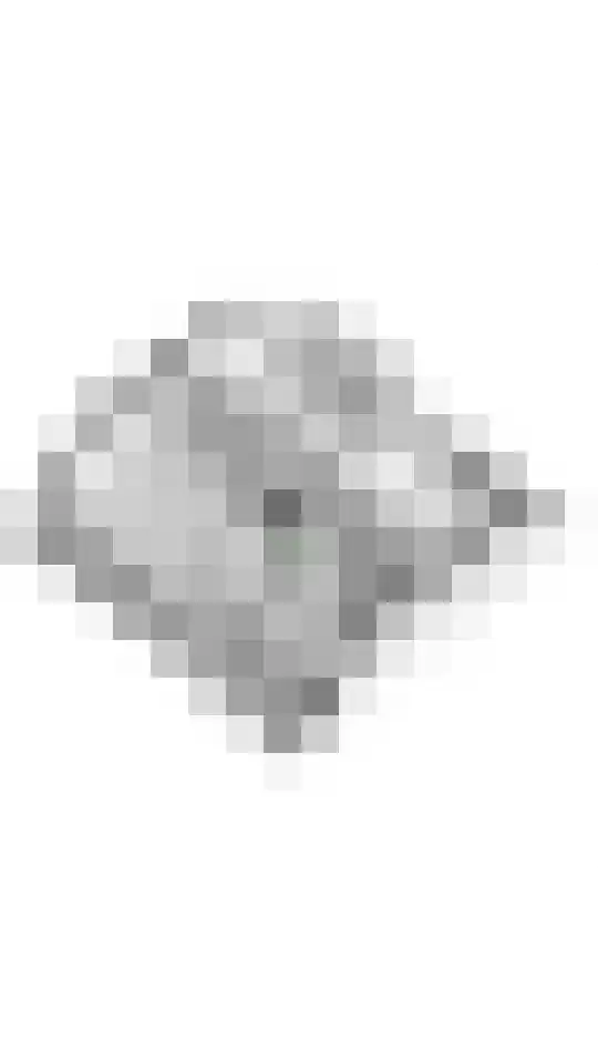 Liendense Singel 38 Lienden thumbnail 61