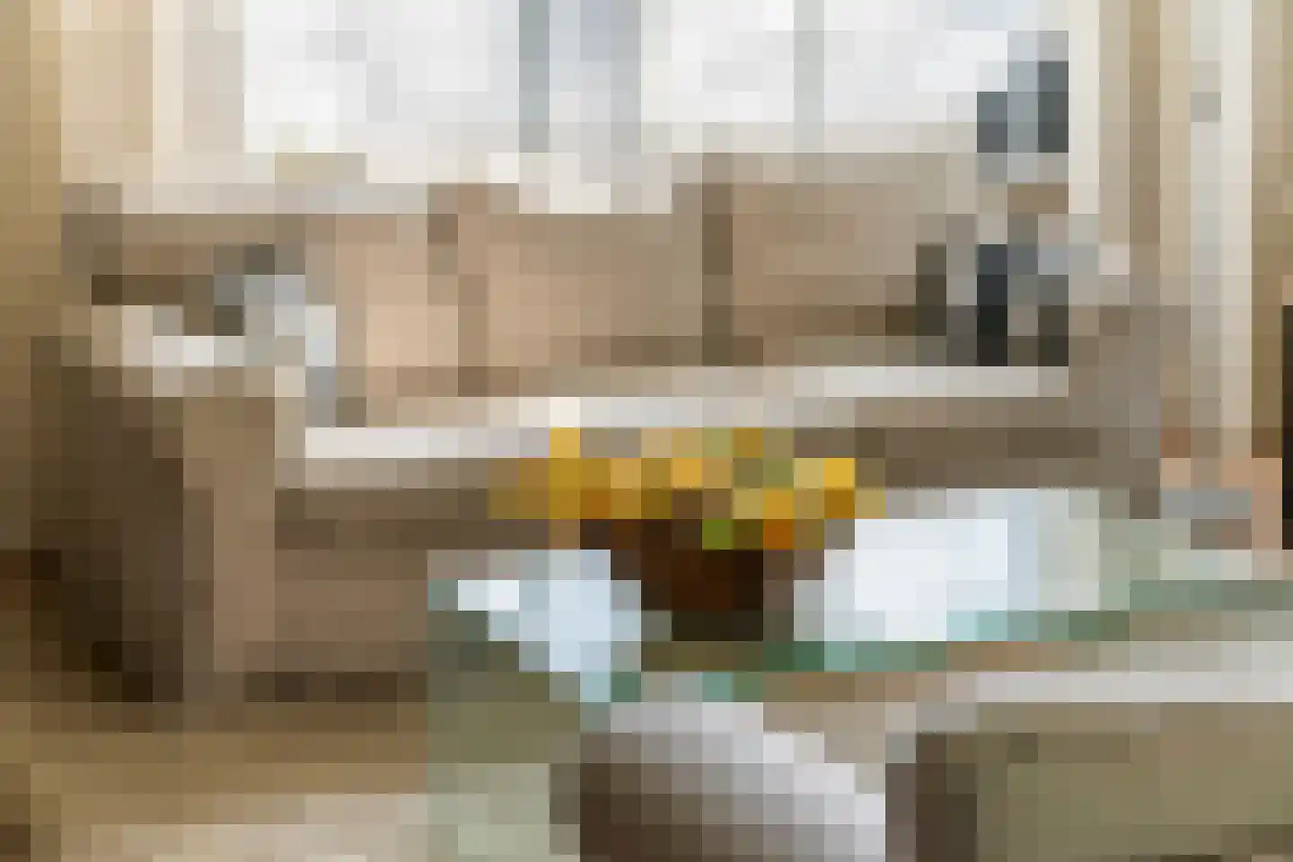 Liendense Singel 38 Lienden thumbnail 9