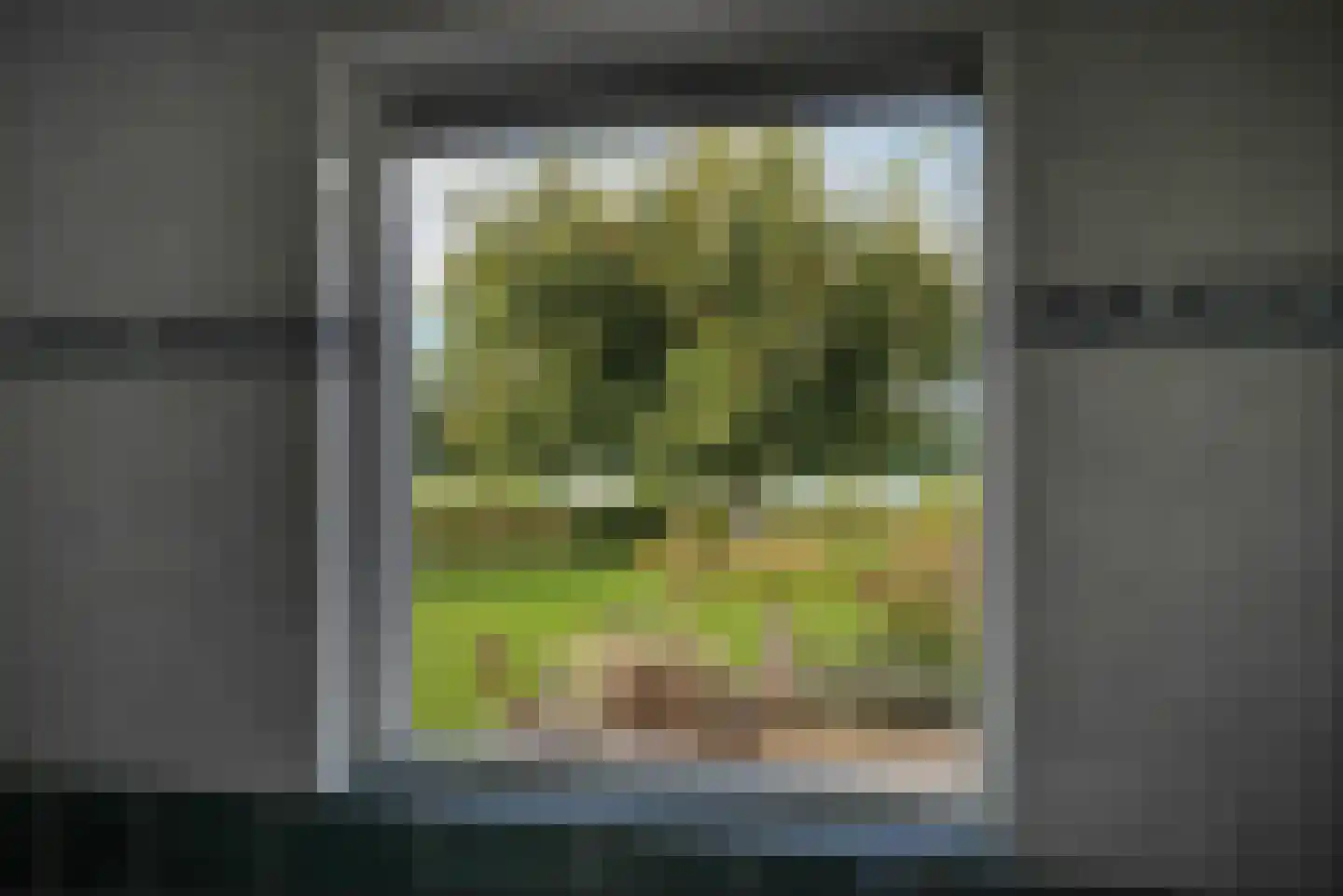 Liendense Singel 39 Lienden thumbnail 32