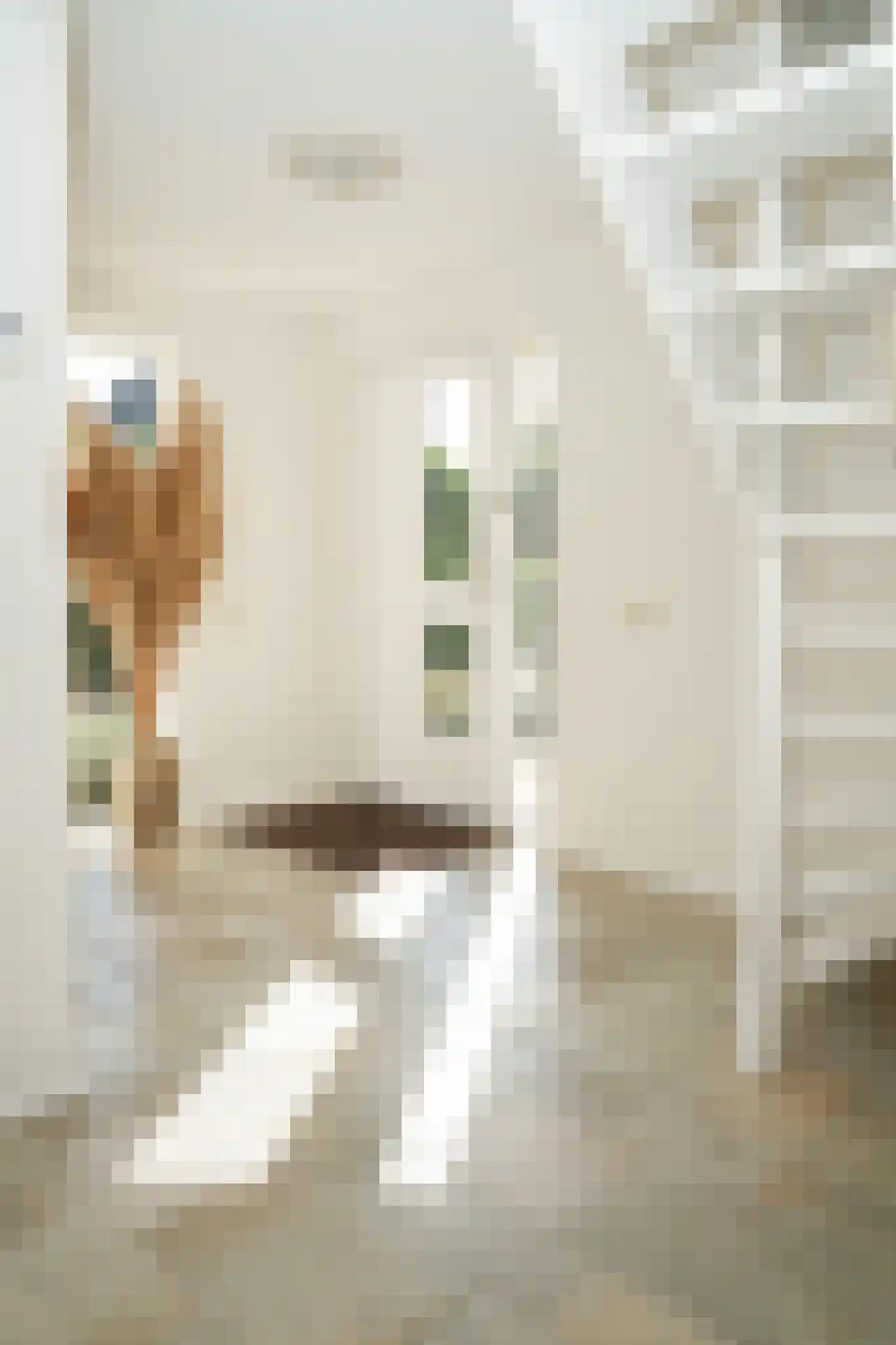 Liendense Singel 39 Lienden thumbnail 33