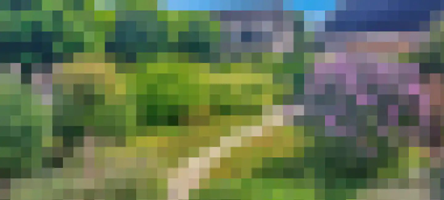 Liendense Singel 39 Lienden thumbnail 47
