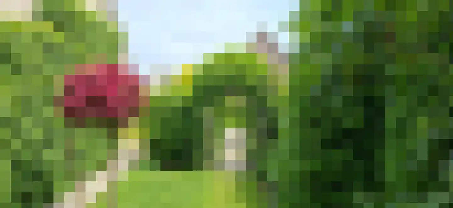 Liendense Singel 39 Lienden thumbnail 49
