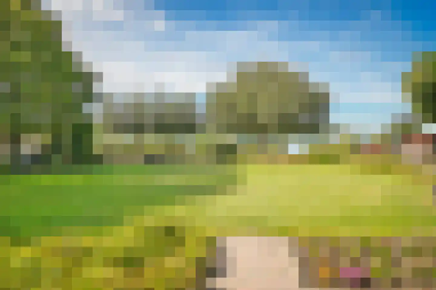 Liendense Singel 39 Lienden thumbnail 53