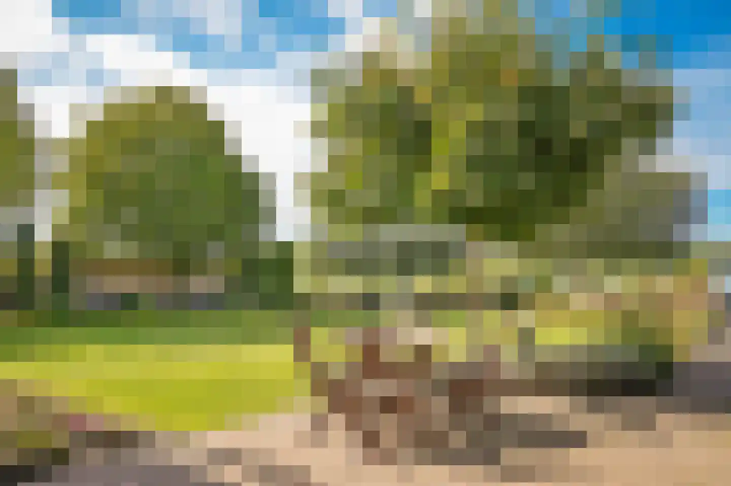 Liendense Singel 39 Lienden thumbnail 55