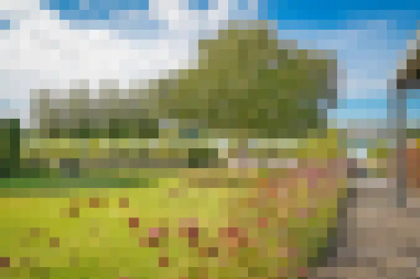 Liendense Singel 39 Lienden thumbnail 56